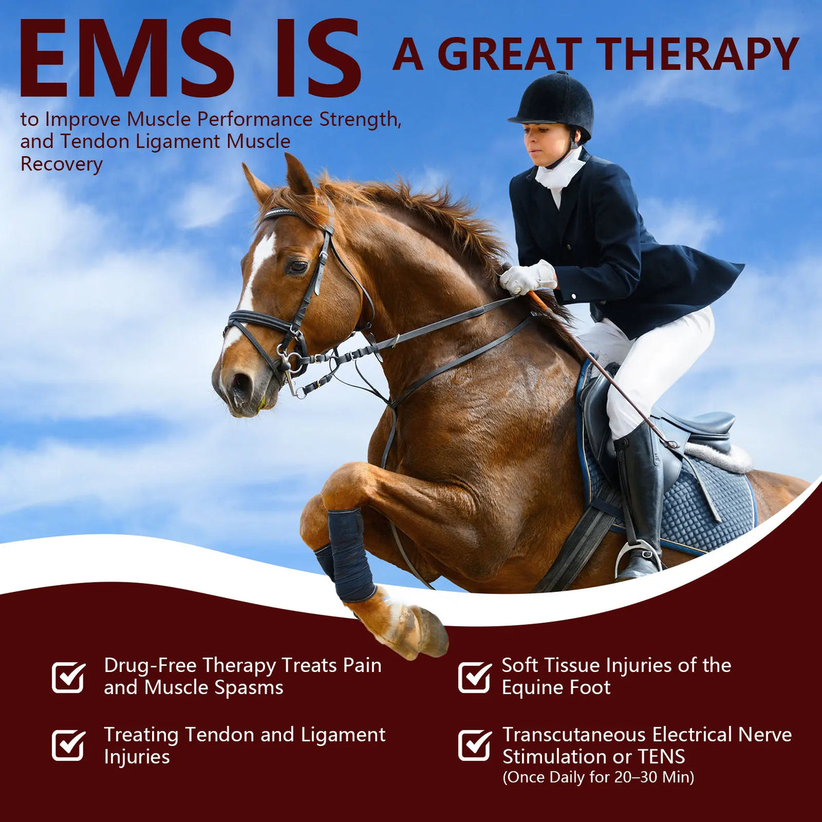 Portable 808nm Laser Therapy Device for Pets and Equine Care