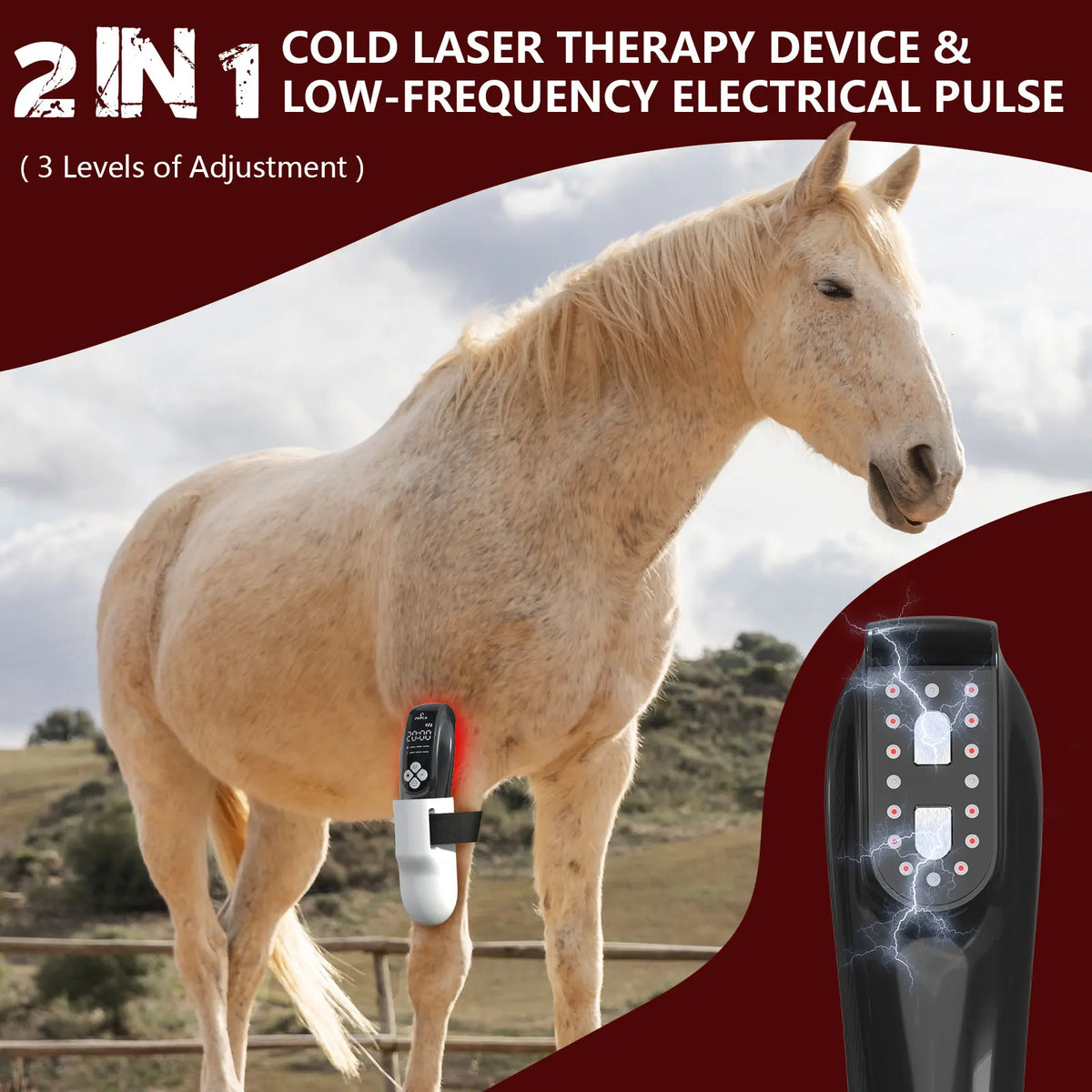 Portable 808nm Laser Therapy Device for Pets and Equine Care