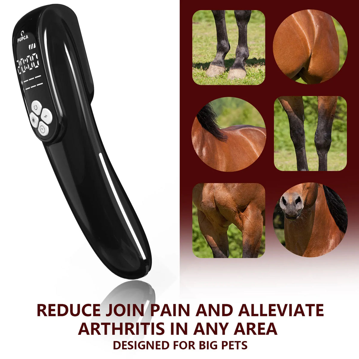 Portable 808nm Laser Therapy Device for Pets and Equine Care